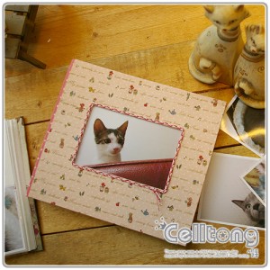 ��ǰ ������