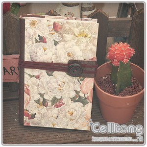 ��ǰ ������