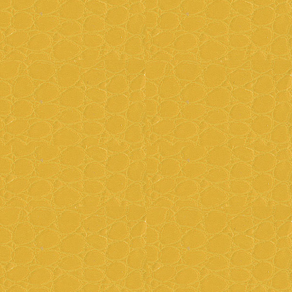 ǰ 