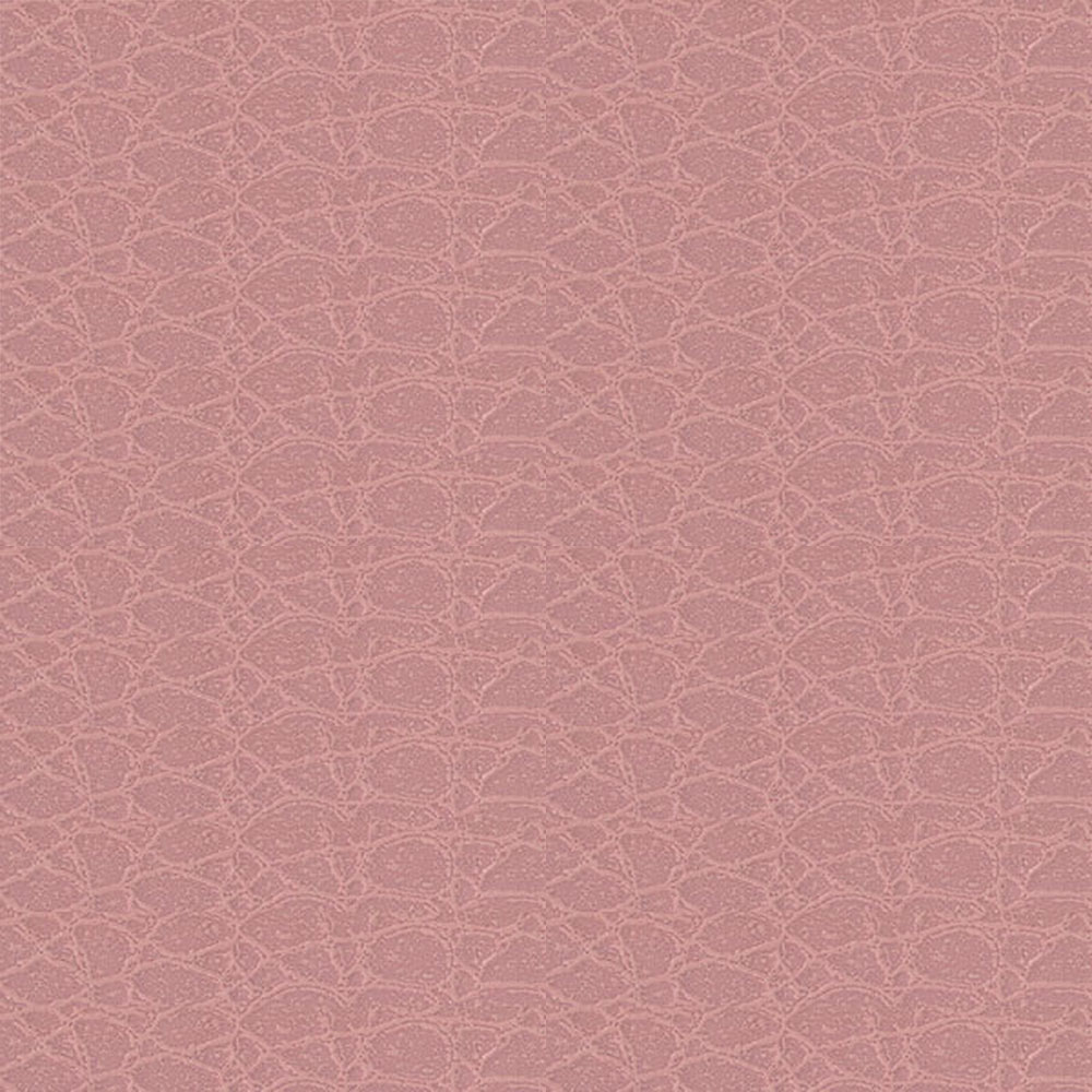 ǰ 